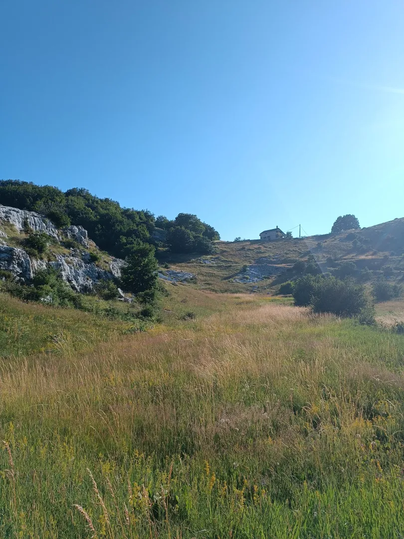 Prodaja, plac, 9000m², Ivanova Korita, Cetinje