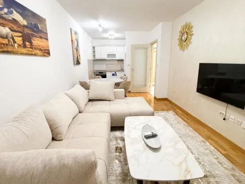 Izdavanje, jednosoban stan, 46m², City Kej, Podgorica - image 3