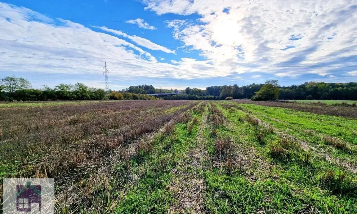 Prodaja, plac, 260m², Bajevac, Lajkovac