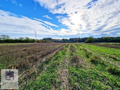 Sale, land lot, 260m², Bajevac, Lajkovac