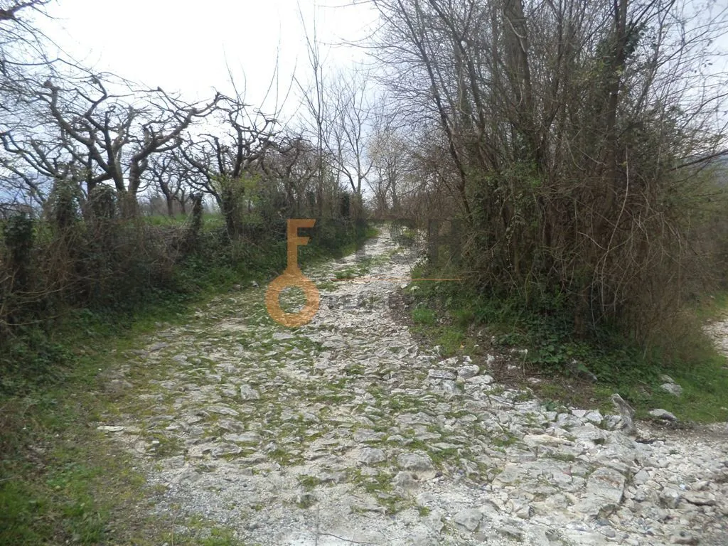 Prodaja, plac, 13000m², Danilovgrad, Crna Gora