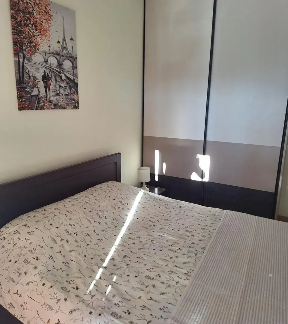 Izdavanje, jednosoban stan, 47m², City Kvart, Podgorica