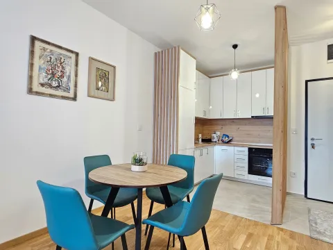 Izdavanje, jednosoban stan, 46m², Stari Aerodrom, Podgorica - image 1