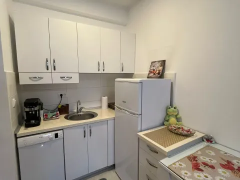 Izdavanje, garsonjera, 26m², Tuški Put, Podgorica - image 3