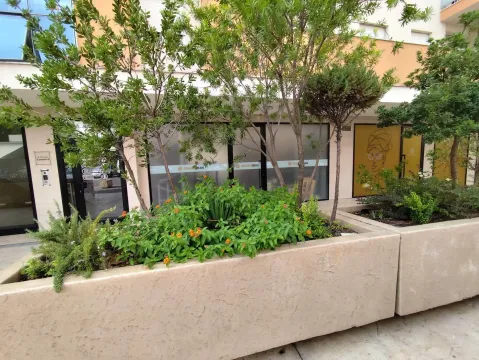 Greenery and planters in front of the commercial space entrance in the building. - image 3