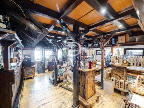 Prodaja, poslovni prostor, 286m², Hala Pionir, Palilula Sve Podlokacije - image 9