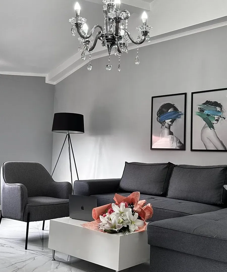 Rent, two bedroom apartment, 50m², Zvezdara Sve Podlokacije, Beograd