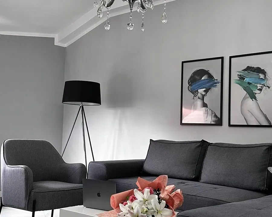 Rent, two bedroom apartment, 50m², Zvezdara Sve Podlokacije, Beograd