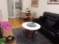 Rent, one bedroom apartment, 42m², Central Point, Podgorica - image 3