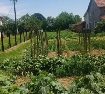 Sale, land lot, 1100m², Rakitovo, Jagodina - image 8