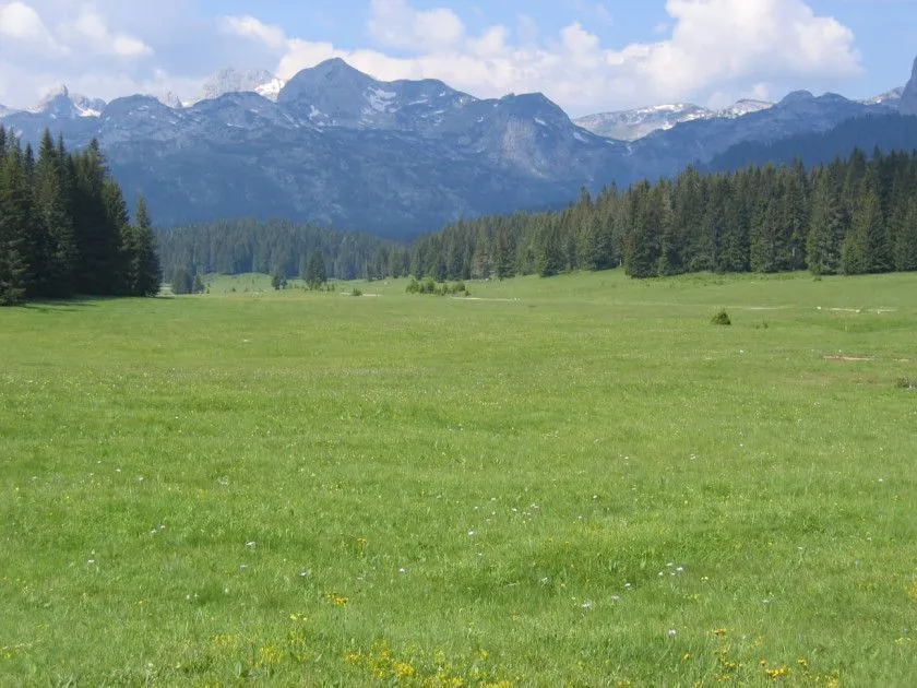 Prodaja, plac, 6056m², Žabljak, Crna Gora