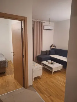 Rent, one bedroom apartment, 31m², Zabjelo, Podgorica - image 2