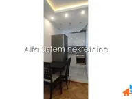 Izdavanje, stan, 35m², Vračar Sve Podlokacije, Beograd - image 5