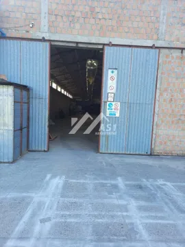 Izdavanje, poslovni prostor, 2600m², Bački Petrovac, Novi Sad - image 6