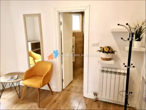 Izdavanje, dvosoban stan, 70m², Vračar Hram, Vračar Sve Podlokacije - image 13