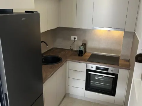 Izdavanje, jednosoban stan, 50m², Zagorič, Podgorica - image 6