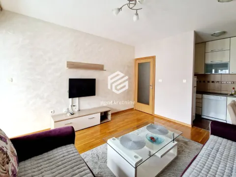 Rent, one bedroom apartment, 47m², Stari Aerodrom, Podgorica - image 2