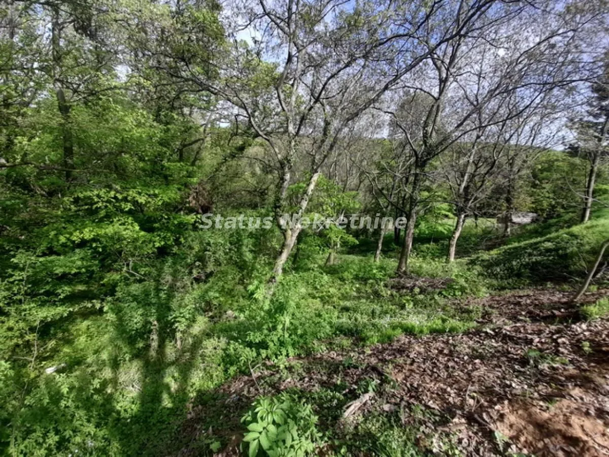 Prodaja, plac, 9283m², Irig, Srbija