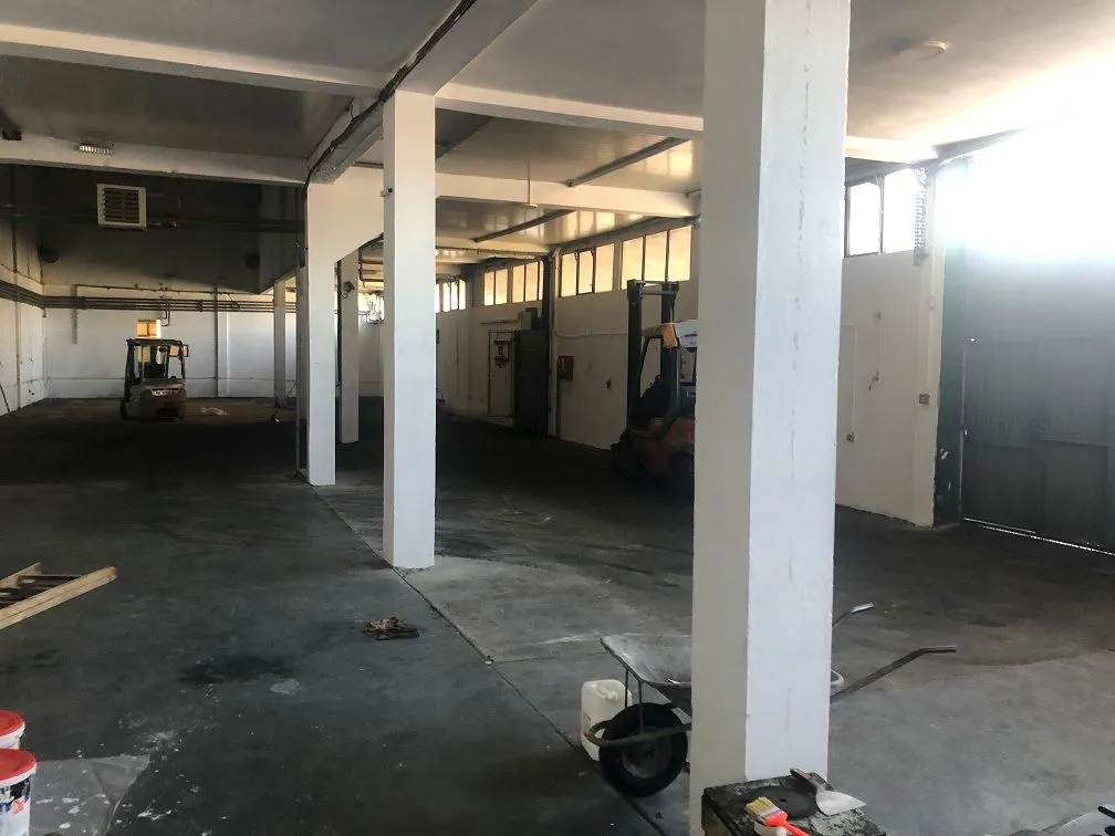 Rent, office space, 1300m², Krnjaca, Palilula Sve Podlokacije