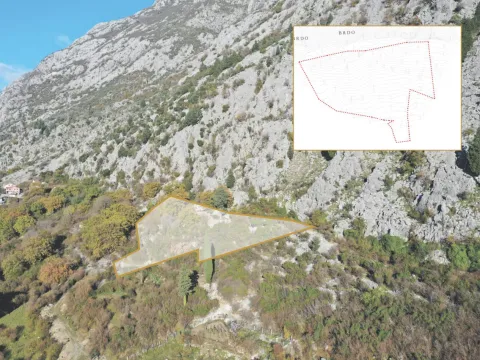 Prodaja, zemljište, 5000m2, Dobrota, Kotor Prodaja, zemljište, 5000m2, Dobrota, Kotor