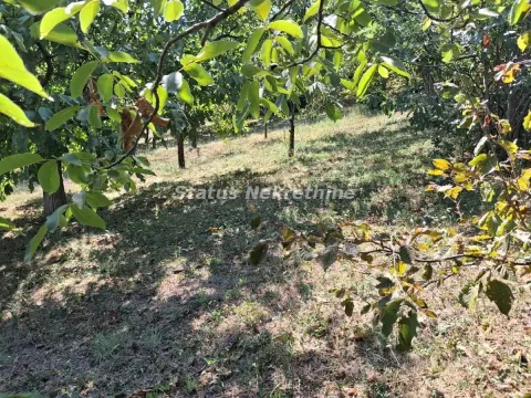 Prodaja, kuća, 30m², Ledinci, Petrovaradin - image 4