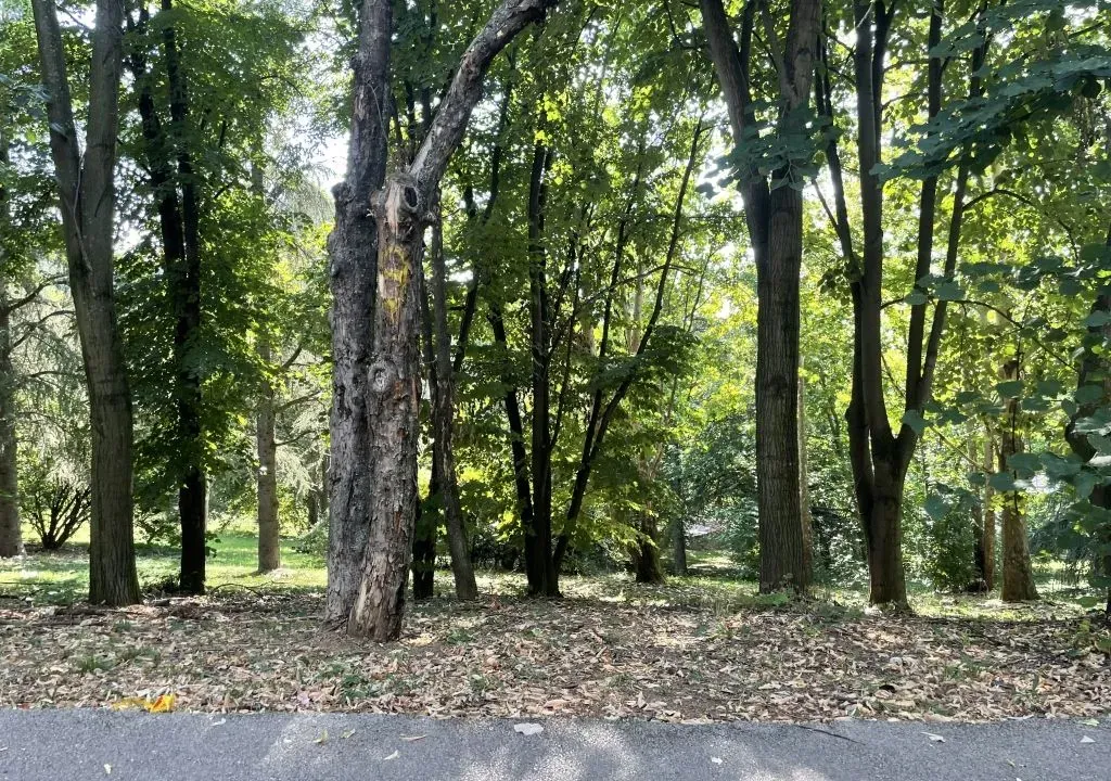 Prodaja, dvosoban stan, 53m², Miljakovac, Rakovica