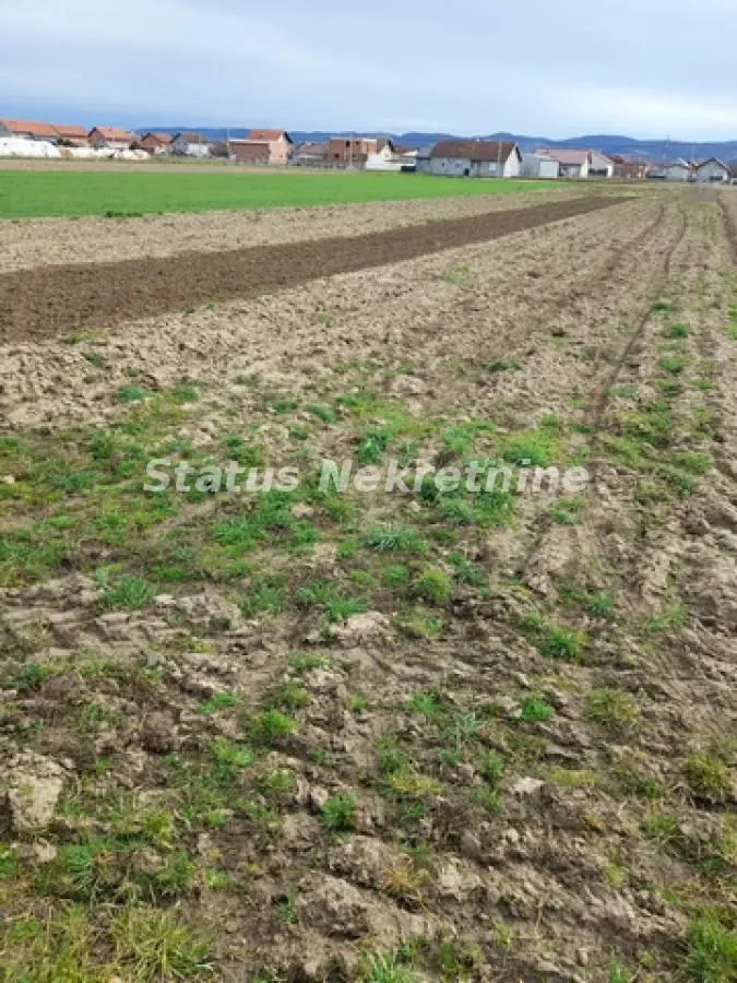 Prodaja, plac, 499m², Futog, Novi Sad Sve Podlokacije