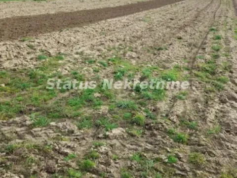 Sale, land lot, 499m², Futog, Novi Sad Sve Podlokacije - image 5