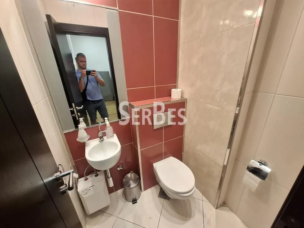 Small bathroom with a sink, toilet, and mirror.