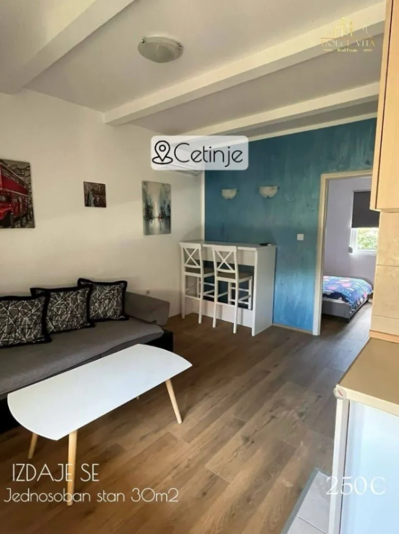 Izdavanje, jednosoban stan, 30m², Cetinje, Crna Gora