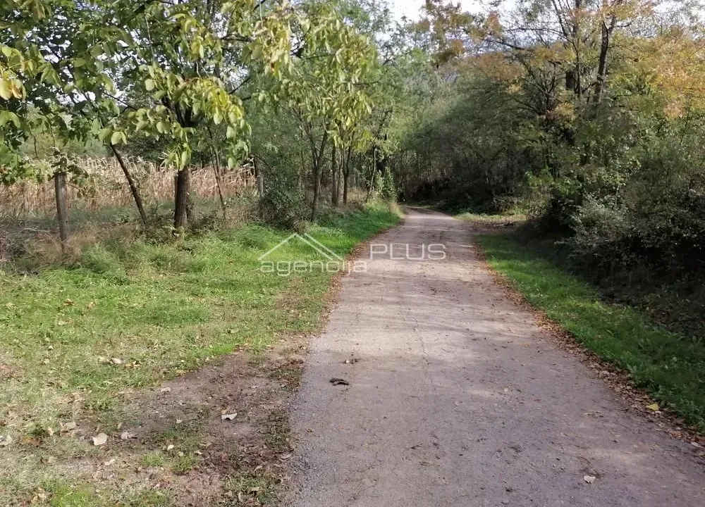 Prodaja, plac, 15000m², Sopot, Beograd