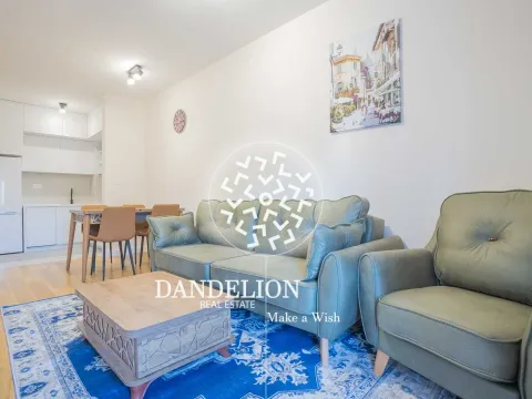 Izdavanje, jednosoban stan, 40m², Central Point, Podgorica - image 14