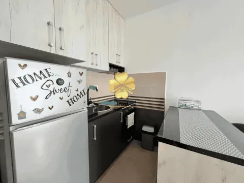 Izdavanje, garsonjera, 25m², Zabjelo, Podgorica - image 4