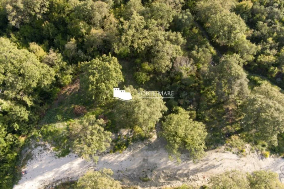 Prodaja, plac, 687m², Trebešin, Herceg Novi