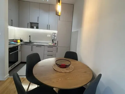 Rent, one bedroom apartment, 43m², Pobrežje, Podgorica - image 5