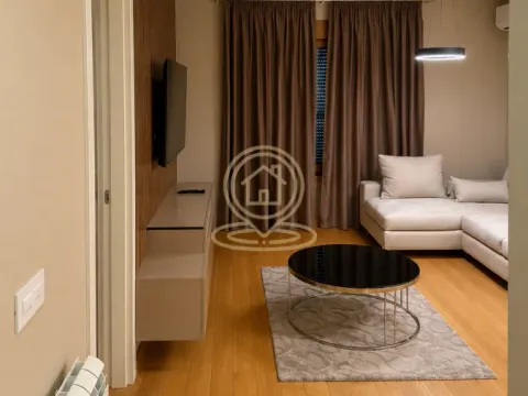 Izdavanje, dvosoban stan, 55m², Južni Bulevar, Vračar Sve Podlokacije - image 4