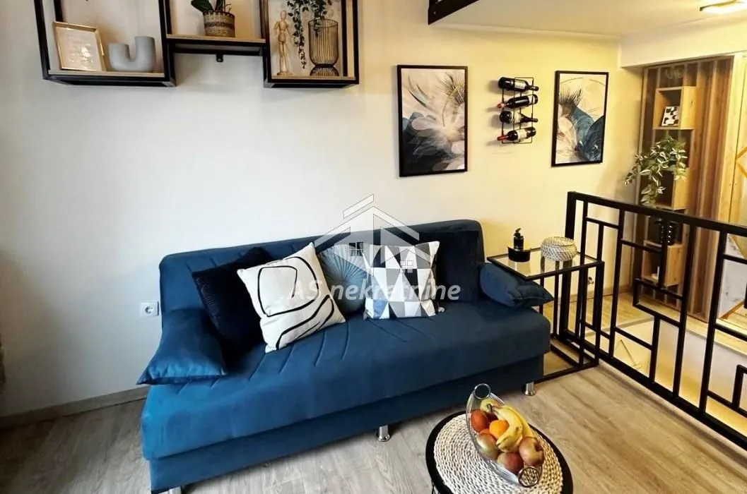 Izdavanje, stan, 45m², Senjak, Beograd