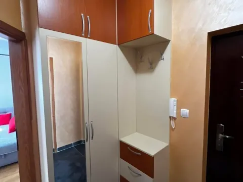 Rent, one bedroom apartment, 35m², Zabjelo, Podgorica - image 7