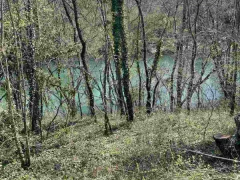 Sale, land lot, 9500m², Danilovgrad, Crna Gora - image 2