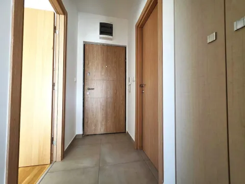 Rent, apartment, 33m², Zabjelo, Podgorica - image 8