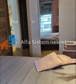 Rent, two bedroom apartment, 54m², Vračar Sve Podlokacije, Beograd - image 14