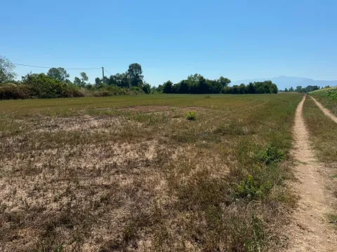 Prodaja, plac, 5400m², Zeta, Podgorica - image 2