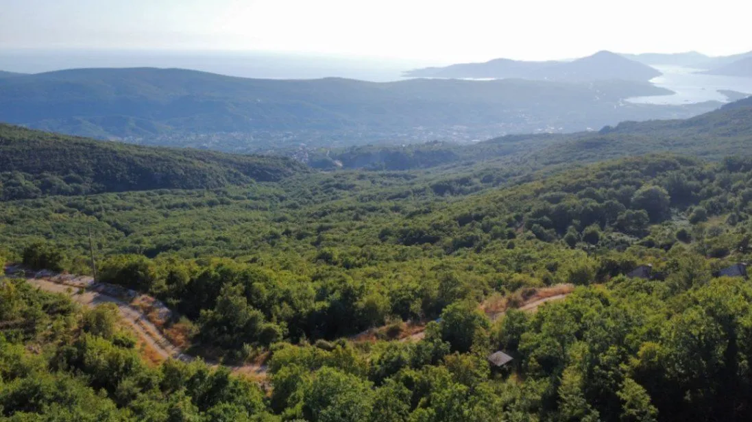 Prodaja, plac, 26417m², Čavori, Kotor