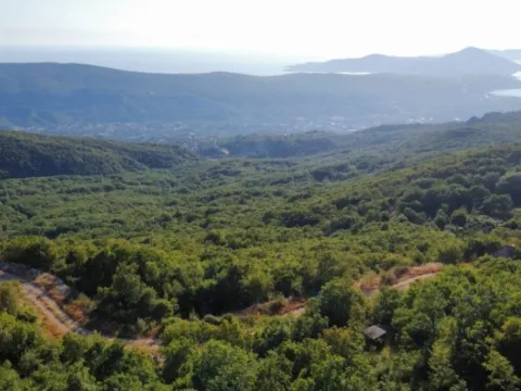 Prodaja, plac, 26417m², Čavori, Kotor - image 4