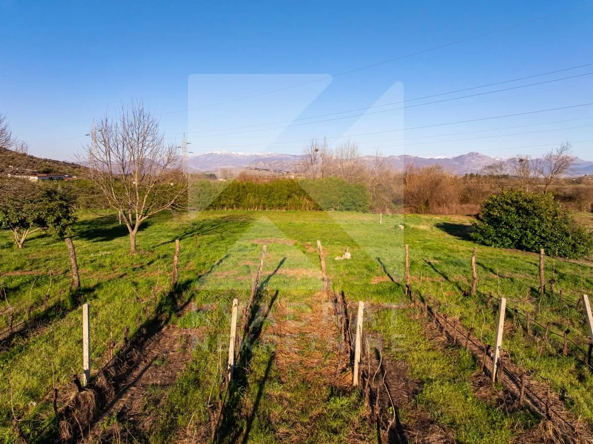 Prodaja, plac, 13000m², Beri, Podgorica