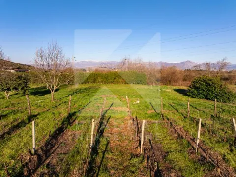 Sale, land lot, 13000m², Beri, Podgorica - image 4