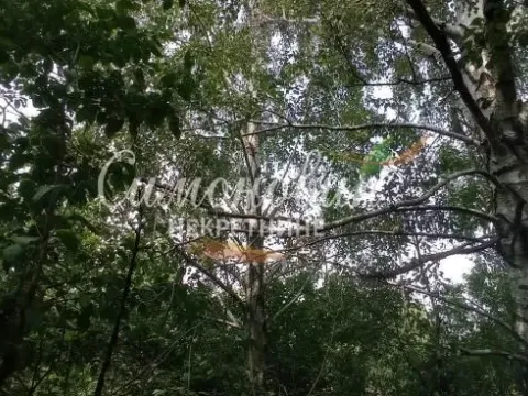 Prodaja, plac, 850m², Surčin, Beograd - image 8