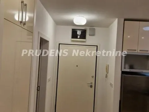 Izdavanje, dvosoban stan, 50m², Vračar Sve Podlokacije, Beograd - image 5