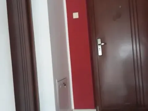 Rent, studio apartment, 25m², Salajka, Novi Sad Sve Podlokacije - image 7