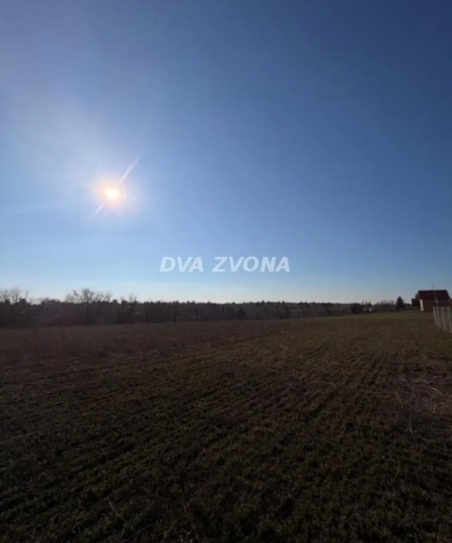 Prodaja, plac, 1000m², Čortanovci, Inđija